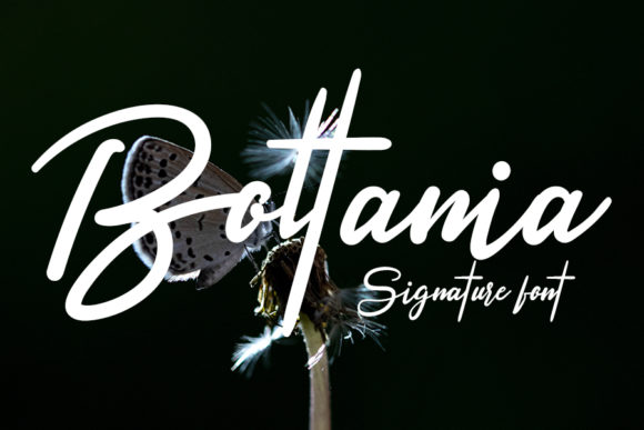 Boltania: A Font That Elevates Your Brand's Visual Story