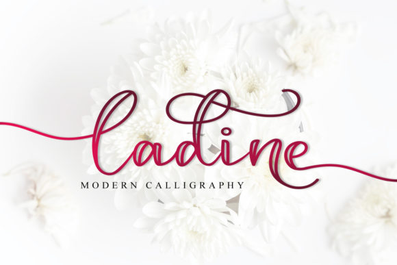 Choosing Ladine for a Lifestyle Blog Redesign
