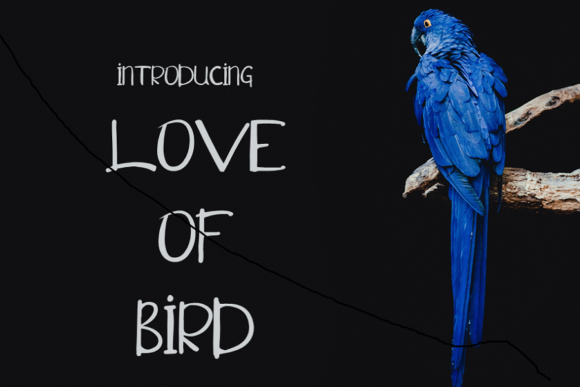 Love of Bird: A Versatile Script Font for Campaign Creativity