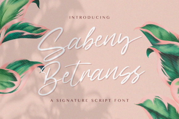 Sabeny Betranss Font Review for Campaign Design