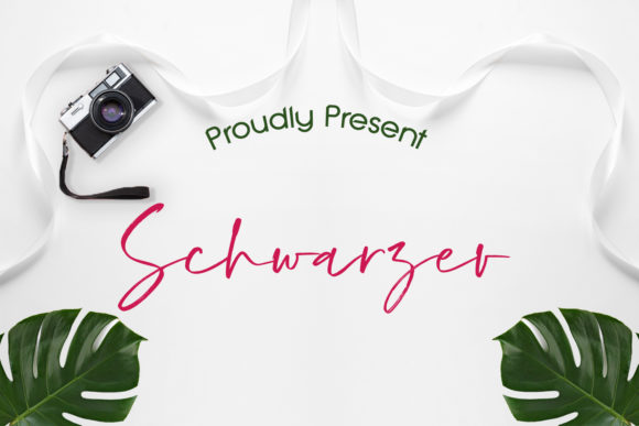 Schwarzer: A Luxurious Handwritten Font for Web Design