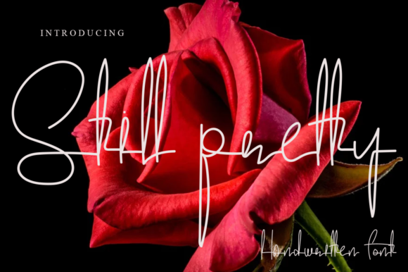 Still Pretty: A Script Font for Modern Design Projects